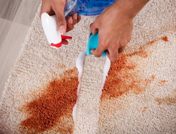 Carpet and Upholstery Cleaning Service